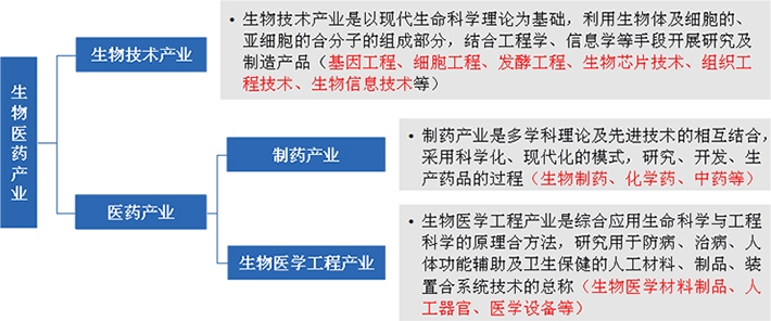 生物醫(yī)藥產(chǎn)業(yè)由生物技術(shù)產(chǎn)業(yè)與醫(yī)藥產(chǎn)業(yè)共同組成