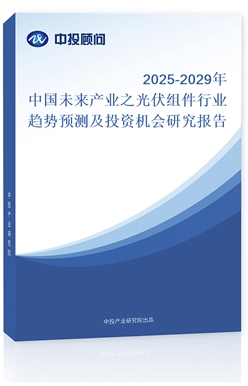 2025-2029Ї(gu)δ(li)a(chn)I(y)֮MИI(y)څ(sh)A(y)y(c)ͶYC(j)(hu)о(bo)