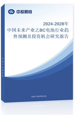 2024-2028Їδa(chn)I(y)֮BC늳ИI(y)څ(sh)A(y)y(c)ͶYC(j)(hu)о(bo)